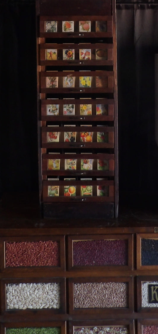 Antique Vintage Country Store General Gordon Van Tine Seed Display Cabinet Hobby Storage